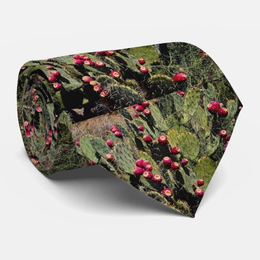 Peuracidocactus, Sonoran-woestijn Stropdas (Opgerold)