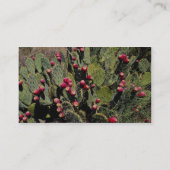 Peuracidocactus, Sonoran-woestijn Visitekaartje (Achterkant)