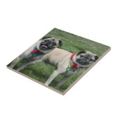 Peuterhonden, keramisch tegels tegeltje (Zijkant)