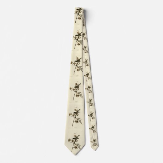 Pewit Flycatcher, Phoebe, Audubon Birds of America Stropdas (Voorkant)