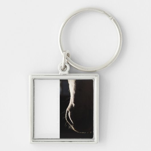 Pewter-Sleutelhanger Sleutelhanger (Voorkant)