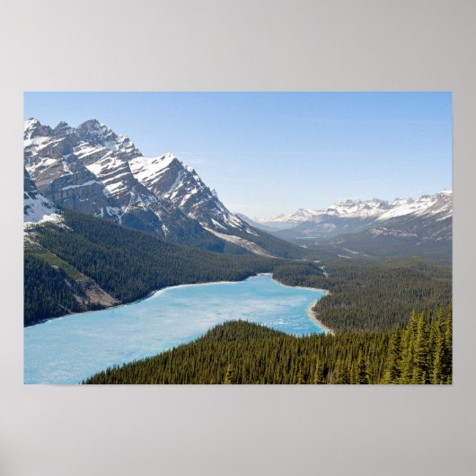 Peyto Lake - Banff National Park, Alberta, Canada Poster (Voorkant)