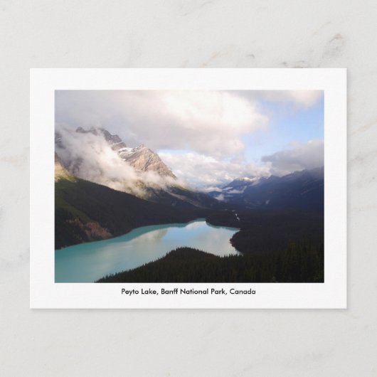 Peyto Lake / Banff National Park, Canada. Briefkaart (Voorkant)