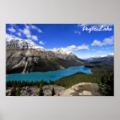 Peyto Lake, Banff National Park, Canadian Rockies Poster (Voorkant)