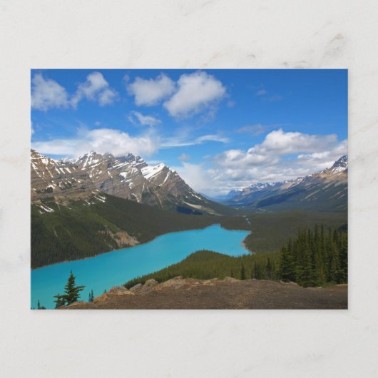 Peyto Lake Briefkaart (Voorkant)