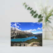 Peyto Lake, Canadese Rockies Briefkaart (Staand voorkant)