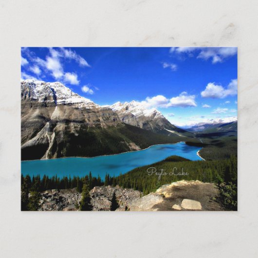 Peyto Lake, Canadese Rockies Briefkaart (Voorkant)