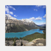Peyto Lake, Canadese Rockies Magneet (Voorkant)