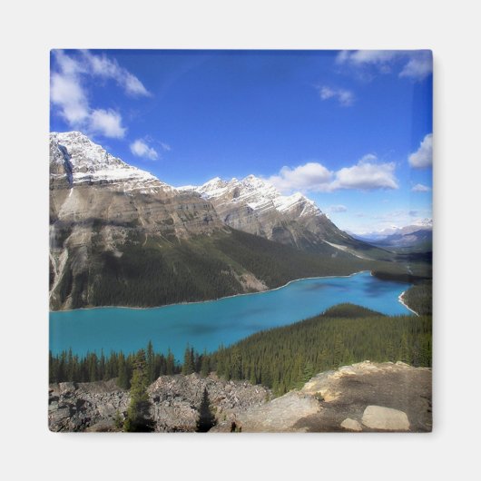 Peyto Lake, Canadese Rockies Magneet (Voorkant)