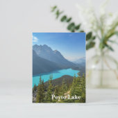 Peyto Lake in Banff Canada Briefkaart (Staand voorkant)