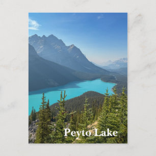 Peyto Lake in Banff Canada Briefkaart