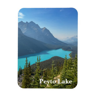 Peyto Lake in Banff Canada Magneet