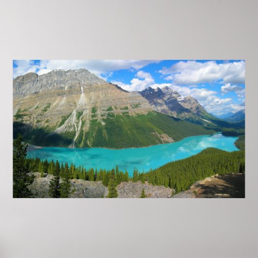Peyto Lake in Banff National Park Alberta Canada Poster (Voorkant)