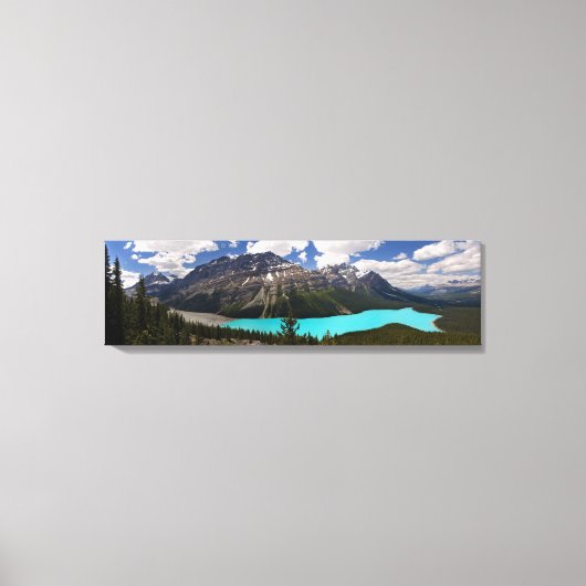 Peyto Lake in de zomer Canvas Afdruk (Voorkant)