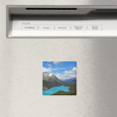 Peyto Lake Magnet (Insitu (Vaatwasser))