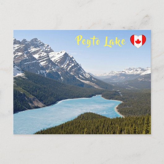 Peyto Lake - Nationaal park Banff, Alberta, Canada Briefkaart (Voorkant)