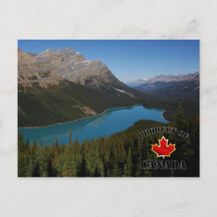 Peyto Lake Product uit Canada Briefkaart