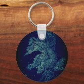 pez betta de estanque sleutelhanger (Voorkant)