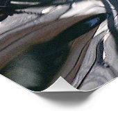 Pez fantasma perfect poster (Hoek)