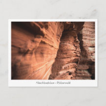 Pfälzerwald Duitsland