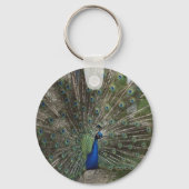 Pfau Sleutelhanger (Voorkant)