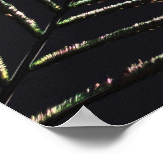 Pfauenfeder Poster (Hoek)