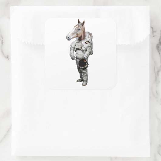 Pferd Astronaut Sticker (Tas)
