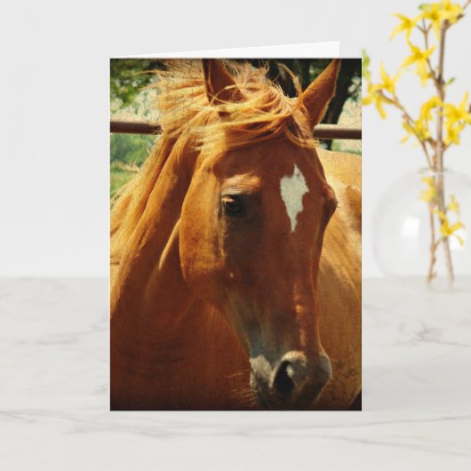 Pferde, Alles Gute Zum Geburtstag Kaart (Gele Bloem)