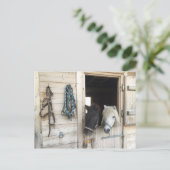 Pferde Briefkaart (Staand voorkant)