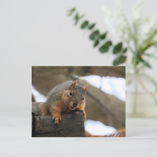 Pfft Briefkaart (Staand voorkant)