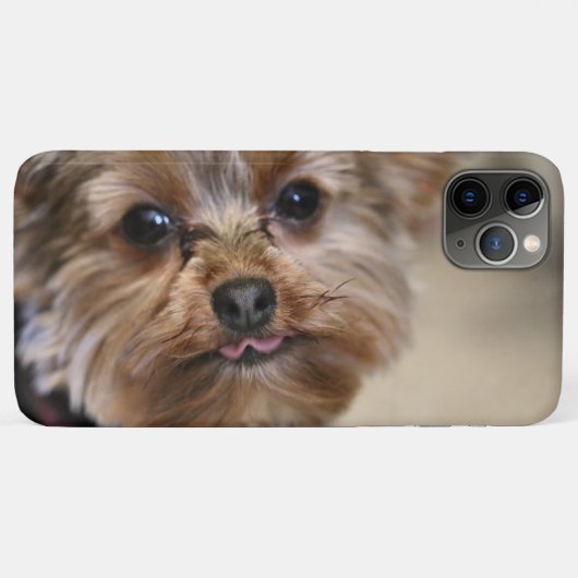 Pfft Case-Mate iPhone Case (Achterkant (horizontaal))