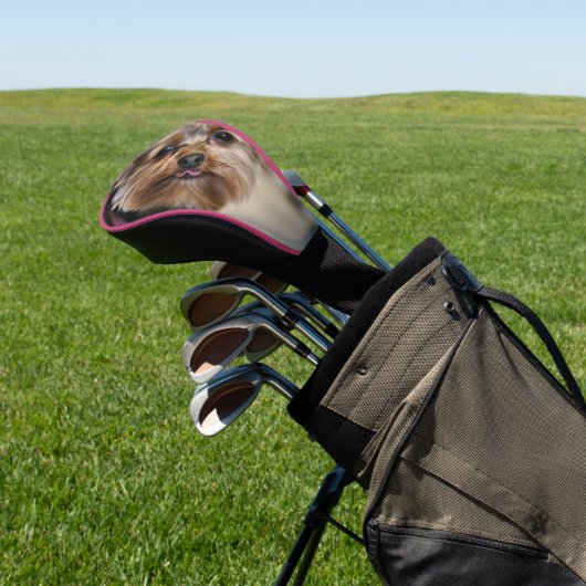 Pfft Golfheadcover (Insitu)