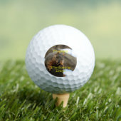 Pfft Happy Vaderdag Golfballen (Insitu Shirt)