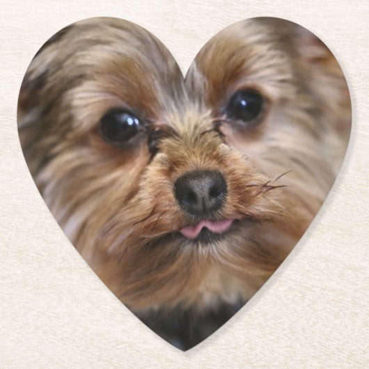 Pfft. Kartonnen Onderzetters (Voorkant)