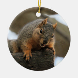 Pfft Keramisch Ornament