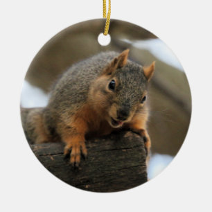 Pfft Keramisch Ornament