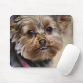 Pfft. Muismat (Met muis)