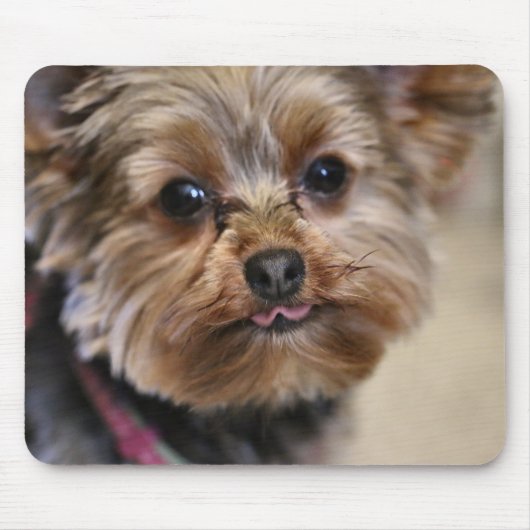 Pfft. Muismat (Voorkant)