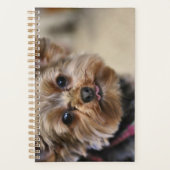 Pfft. Planner (Voorkant)