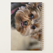 Pfft. Planner (Achterkant)