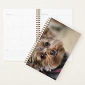 Pfft. Planner (Display)