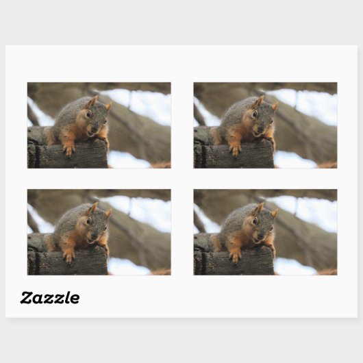 Pfft Rechthoekige Sticker (Vel)