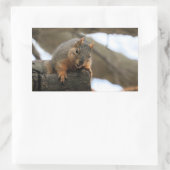 Pfft Rechthoekige Sticker (Tas)