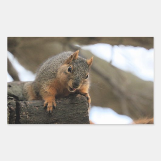 Pfft Rechthoekige Sticker (Voorkant)