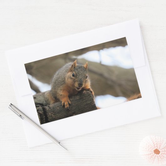 Pfft Rechthoekige Sticker (Envelop)