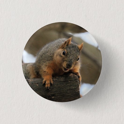 Pfft Ronde Button 3,2 Cm (Voorkant)