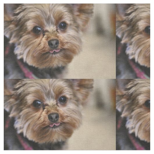 Pfft. Stof (Close Up)