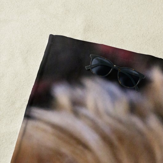 Pfft Strandlaken (In situ)