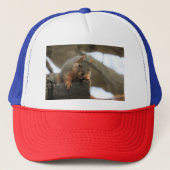 Pfft Trucker Pet (Voorkant)