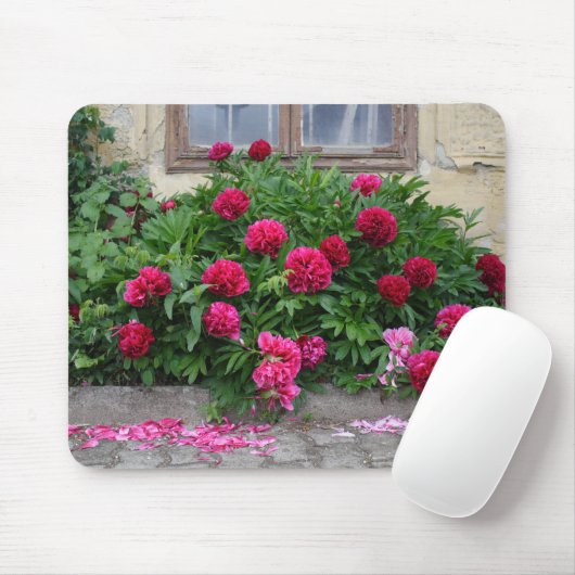 Pfingstrosen Muismat (Met muis)